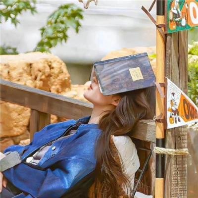 手握星辰终是你