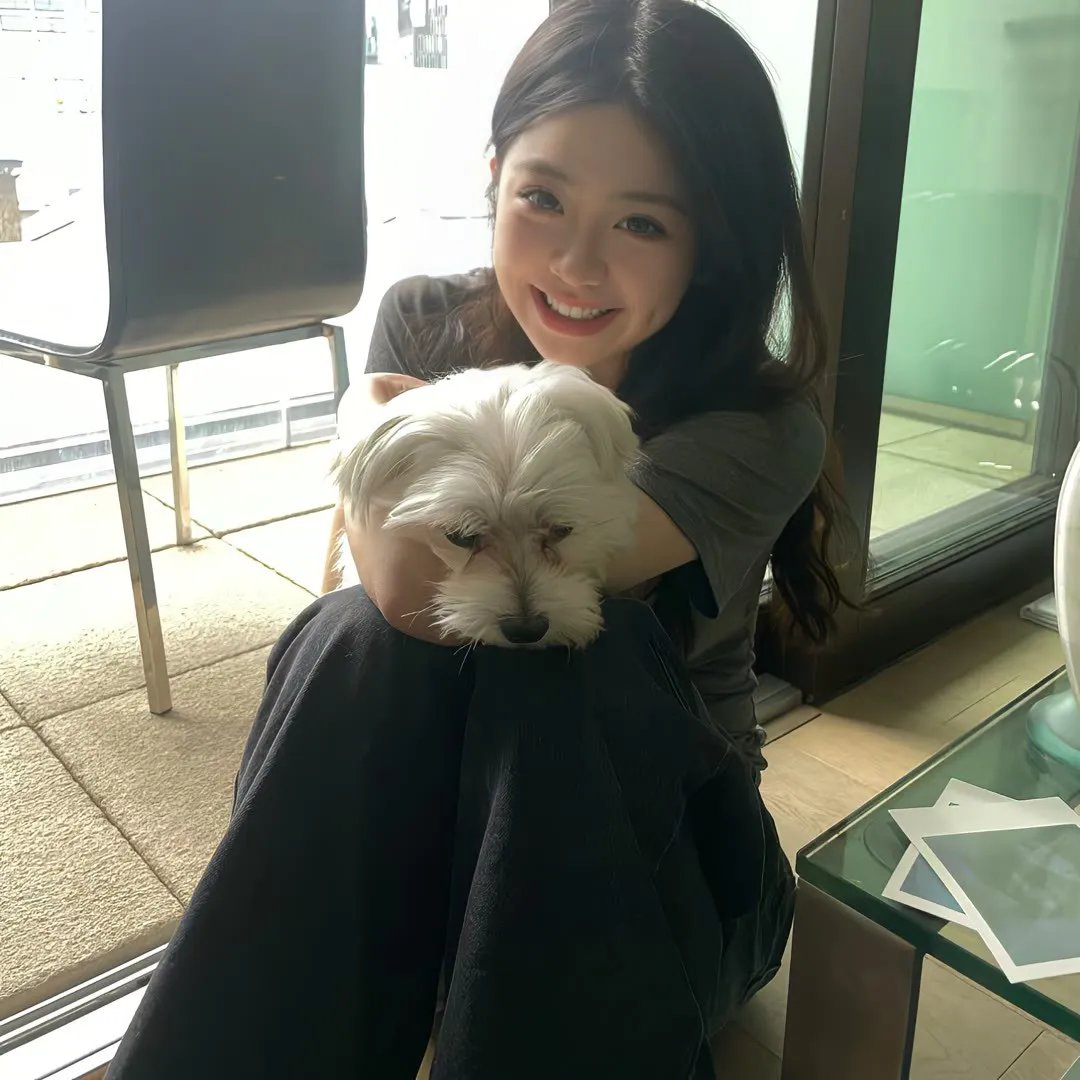 功夫宝贝踏江湖